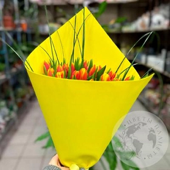 Букет из 25 тюльпанов Букет из 25 тюльпанов