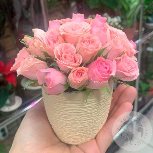 Композиция из роз в керамическом кашпо "Малышка" в магазине Цветы Планеты