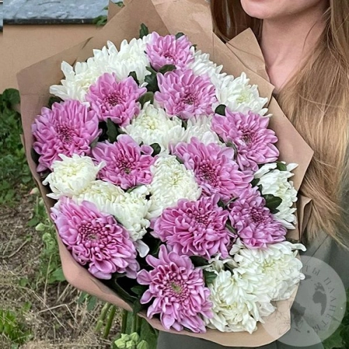 Букет из 25 белых и розовых одноголовых хризантем