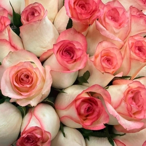 Букет из гипсофил и роз в магазине Цветы Планеты