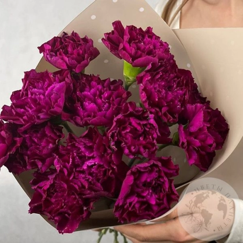 13 гвоздик бордовых в магазине Цветы Планеты