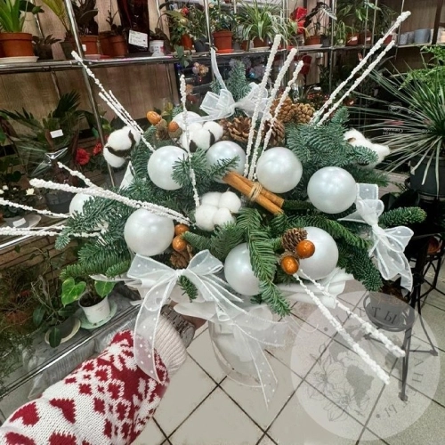 Букет на Новый год в магазине Цветы Планеты