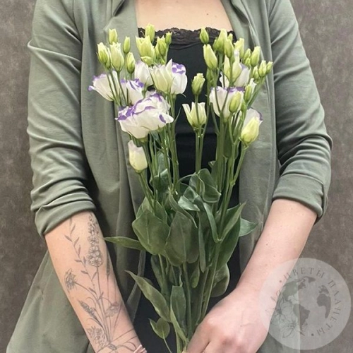 Эустома бело-фиолетовая 5 шт.