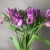 7 Альстромерий фиолетовых в магазине Цветы Планеты 7 Альстромерий фиолетовых