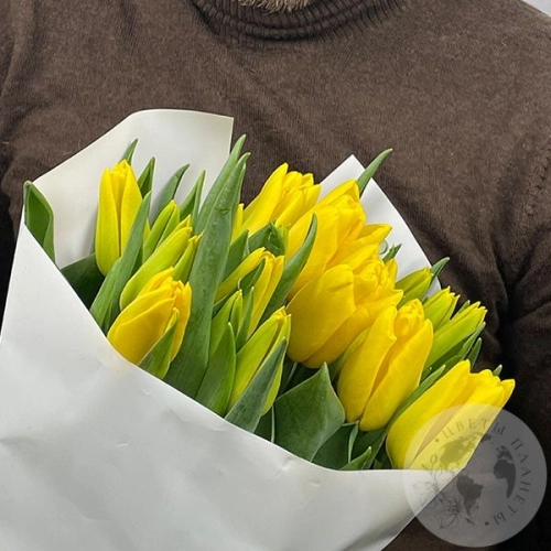 9 тюльпанов желтых в магазине Цветы Планеты