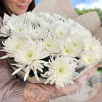 25 хризантем белых 25 хризантем белых