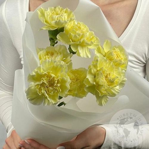 7 гвоздик желтых