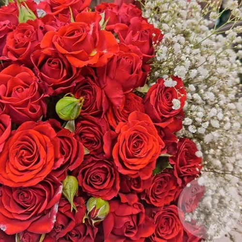 Букет из роз и гипсофилы "Любимой" в магазине Цветы Планеты