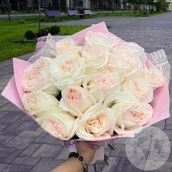 Букет из 15 пионовидных роз  Букет из 15 пионовидных роз