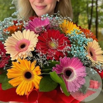 Букет из гербер и гипсофил