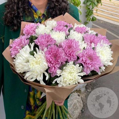 Букет из 25 белых и розовых одноголовых хризантем