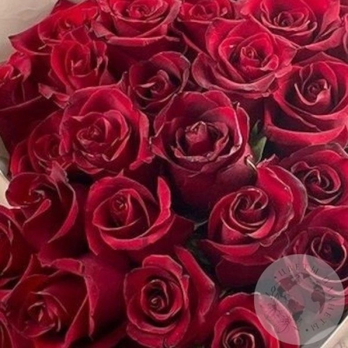 25 роз бордовых 60 см. в магазине Цветы Планеты