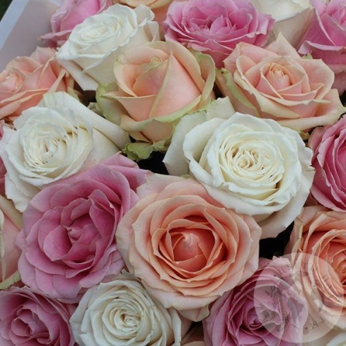 Букет из 25 роз "Океан радости" в магазине Цветы Планеты