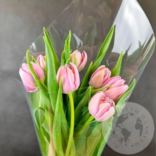 7 розовых пионовидных тюльпанов в магазине Цветы Планеты