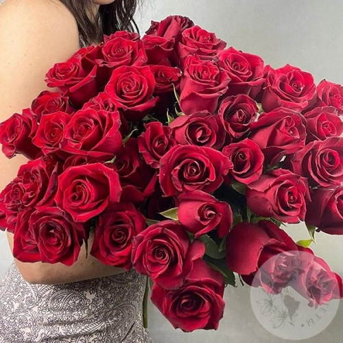 51 роза бордовая 60 см. в магазине Цветы Планеты
