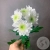 Хризантема кустовая бело-зеленая в магазине Цветы Планеты Хризантема кустовая бело-зеленая