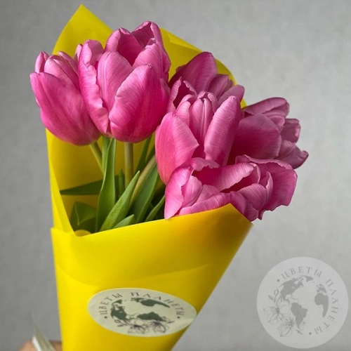 7 тюльпанов бордовых в магазине Цветы Планеты