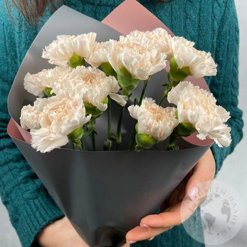 13 гвоздики персиковых