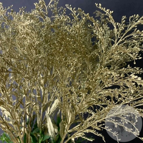 Солидаго Золото 7 шт. в магазине Цветы Планеты