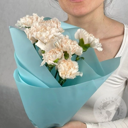 7 гвоздик персиковых