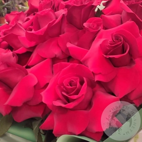 Букет из 15 французских роз в магазине Цветы Планеты