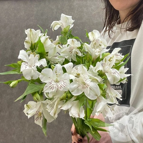 7 Альстромерий белых