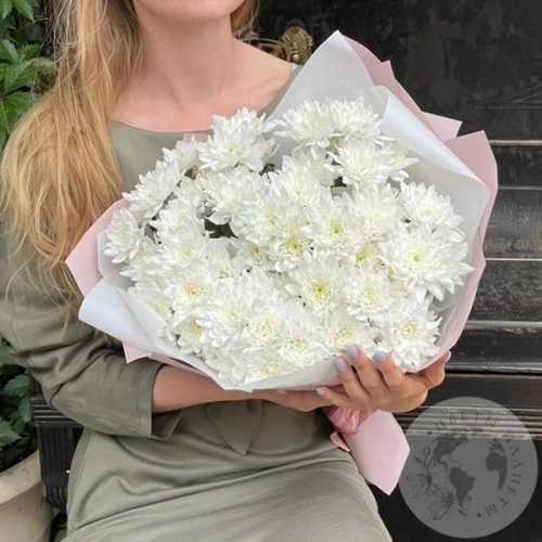 15 белых кустовых хризантем