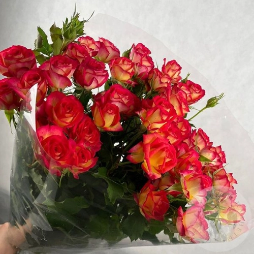 11 кустовых роз красных 60 см 11 кустовых роз красных 60 см в магазине Цветы Планеты