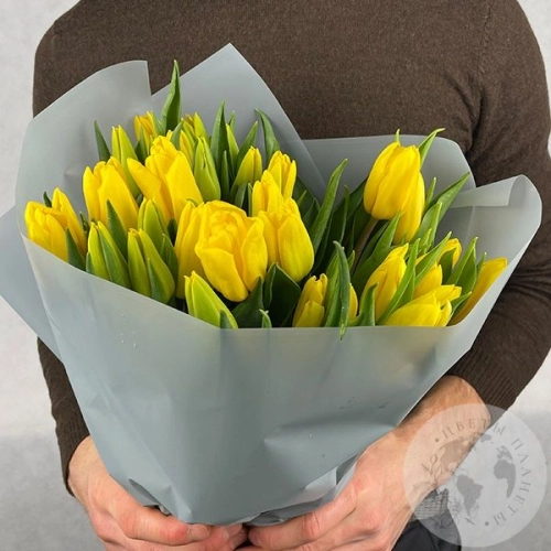 15 тюльпанов желтых в магазине Цветы Планеты