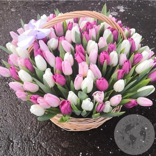 101 Тюльпан в корзине в магазине Цветы Планеты