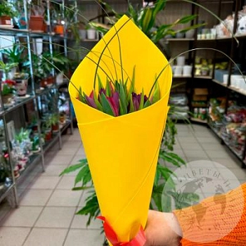 Букет из 15 тюльпанов фиолетовых и темно-малиновых Букет из 15 тюльпанов фиолетовых и темно-малиновых