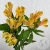 3 Альстромерии желтых в магазине Цветы Планеты 3 Альстромерии желтых