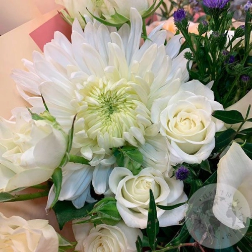 Букет из роз и хризантемы "Комплимент" в магазине Цветы Планеты Букет из роз и хризантемы "Комплимент"