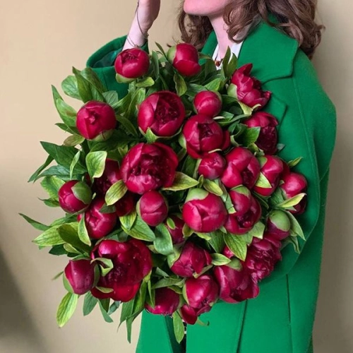 31 Пион бордовый в магазине Цветы Планеты