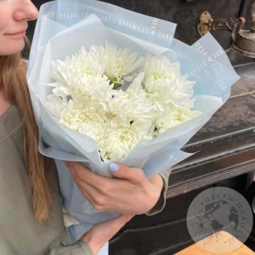 7 белых одноголовых хризантем