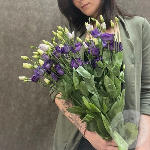 Эустома фиолетовая 7 шт.