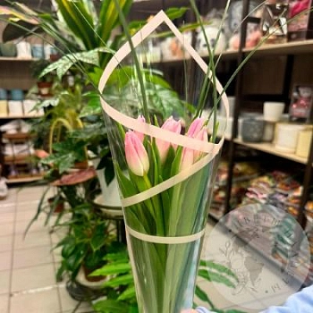 Букет из 7 тюльпанов розовых Букет из 7 тюльпанов розовых