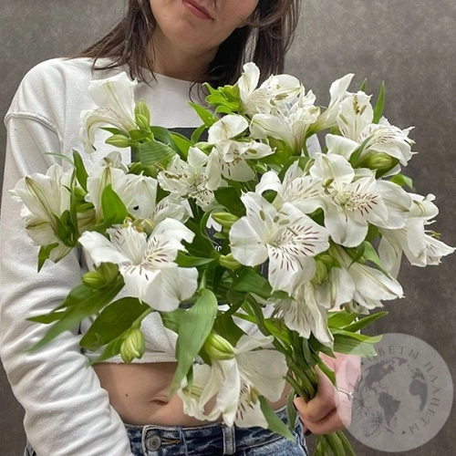 7 Альстромерий белых