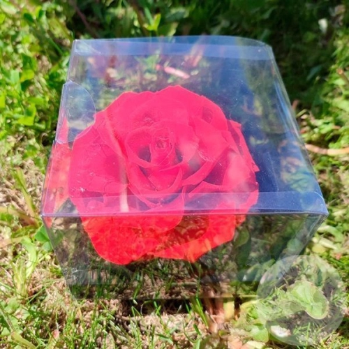 Стабилизированная роза красная в магазине Цветы Планеты