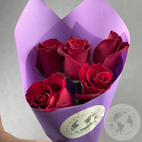 5 роз бордовых 60 см. в магазине Цветы Планеты