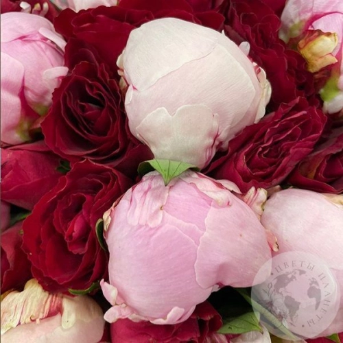 Букет из розовых пионов и красных роз "Для тебя" в магазине Цветы Планеты Букет из розовых пионов и красных роз "Для тебя" в магазине Цветы Планеты