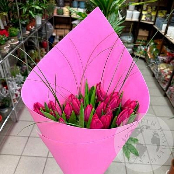 25 тюльпанов 25 тюльпанов