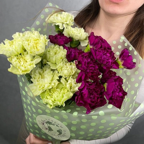 19 гвоздик MIX в магазине Цветы Планеты