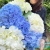 9 гортензий микс