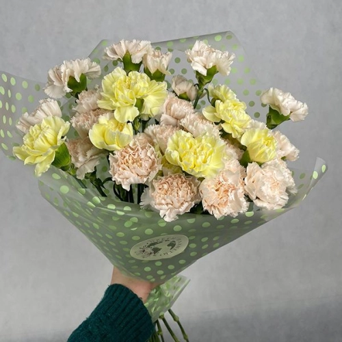 35 гвоздик MIX в магазине Цветы Планеты