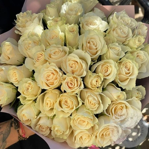 51 белая роза 40 см. в магазине Цветы Планеты