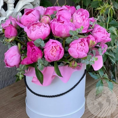 25 розовых пионов в шляпной коробке в магазине Цветы Планеты