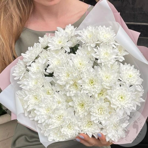 15 белых кустовых хризантем