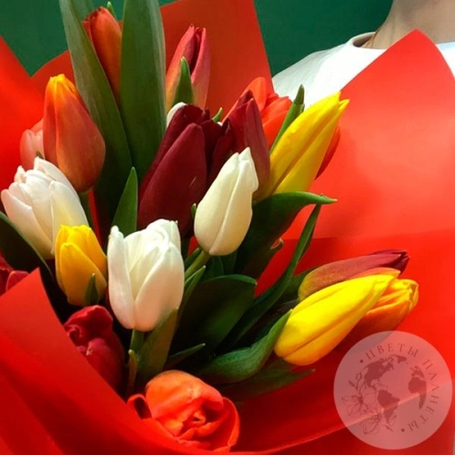 Букет 21 тюльпан микс