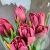 7 бордовых пионовидных тюльпанов в магазине Цветы Планеты